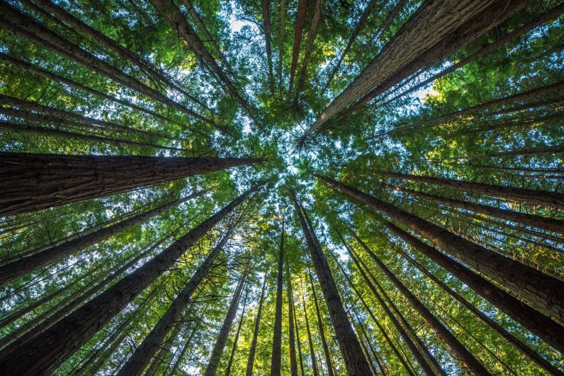 Sustainability